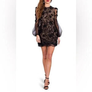 Elegant Black Lace Dress